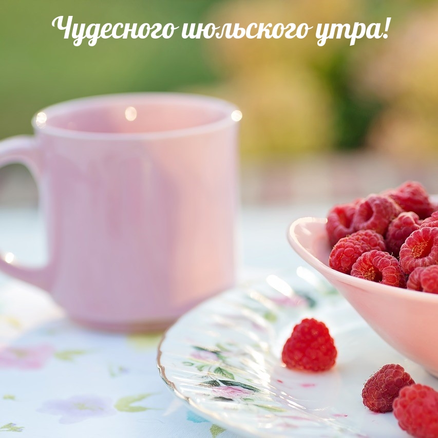 Чудесного июльского утра!