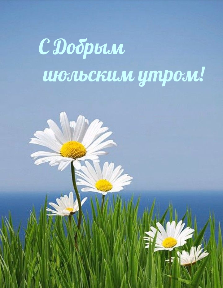С Добрым июльским утром!