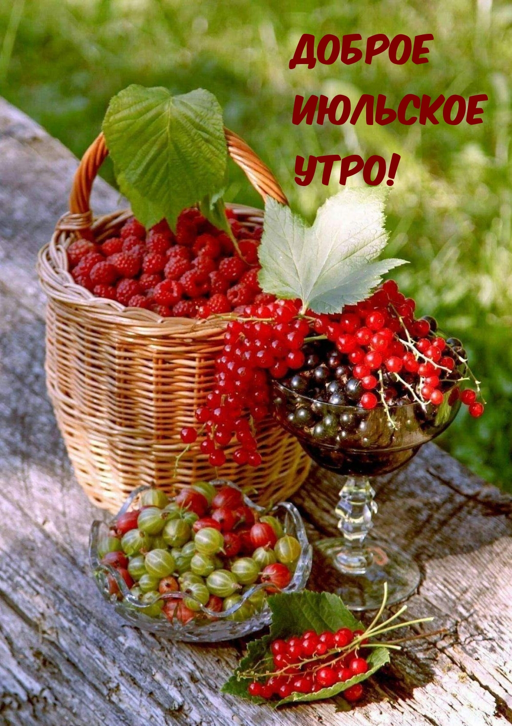 Доброе июльское утро!