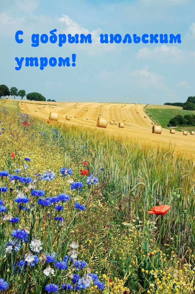 С добрым июльским утром!