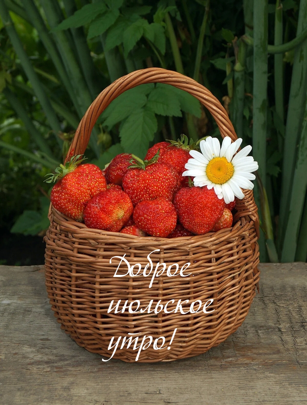 Доброе июльское утро!