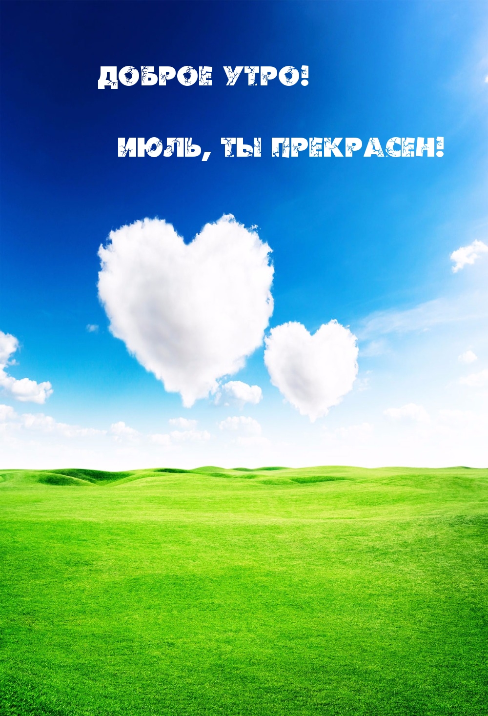 Доброе утро! Июль, ты прекрасен!