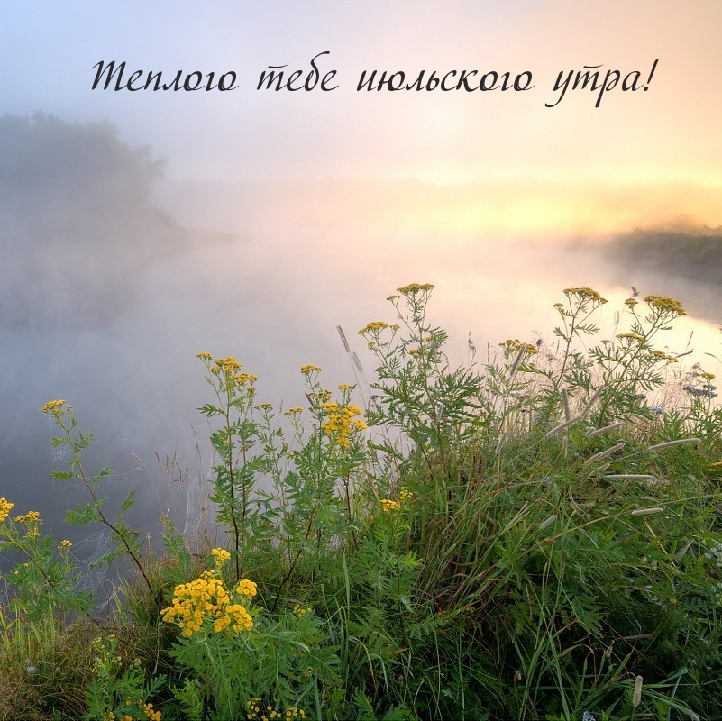 Теплого тебе июльского утра!