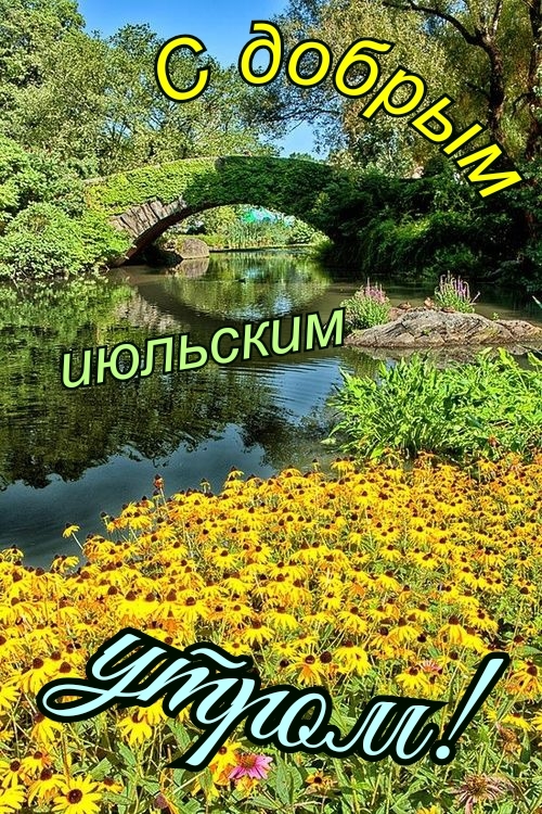 С добрым июльским утром!