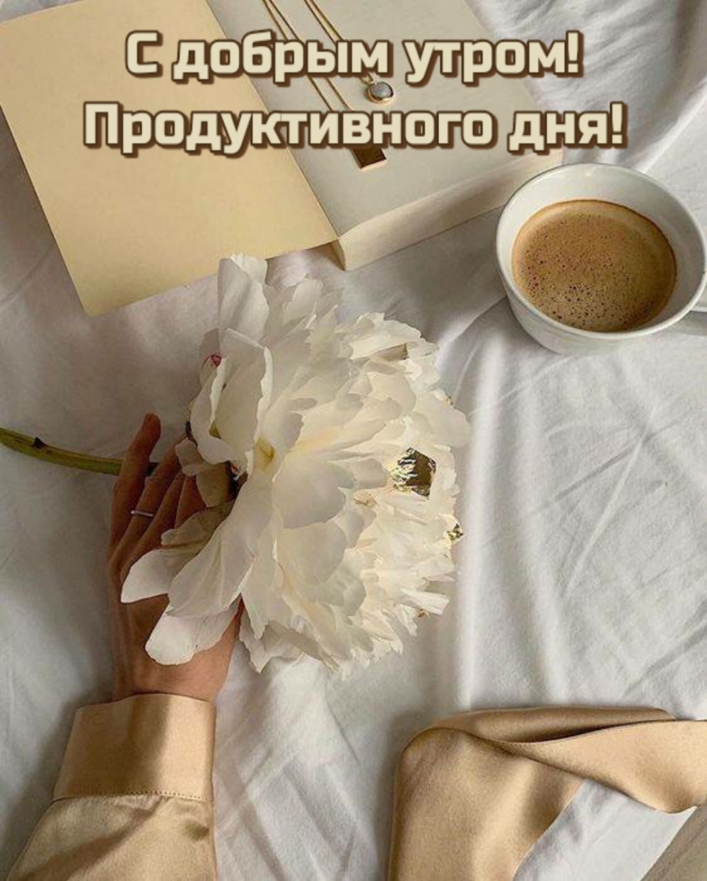 С добрым утром! Продуктивного дня!