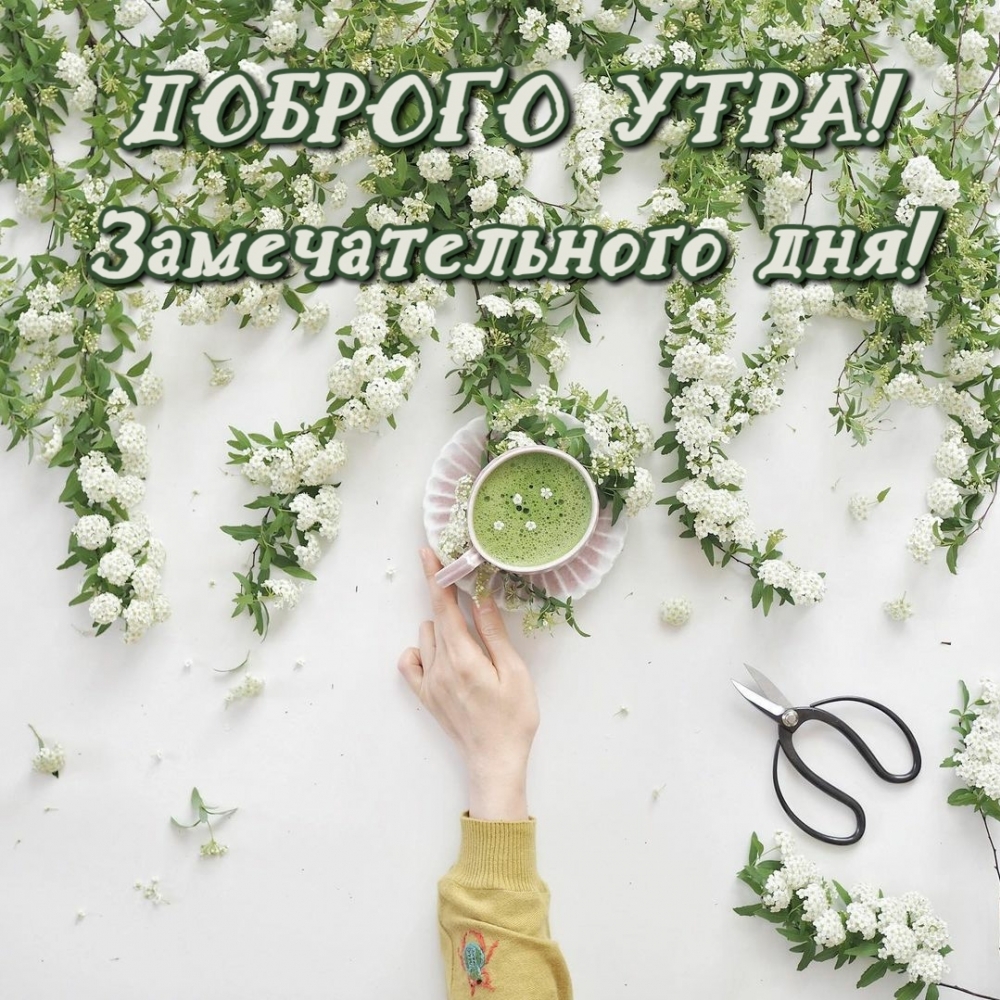 Пожелание доброго утра и замечательного дня