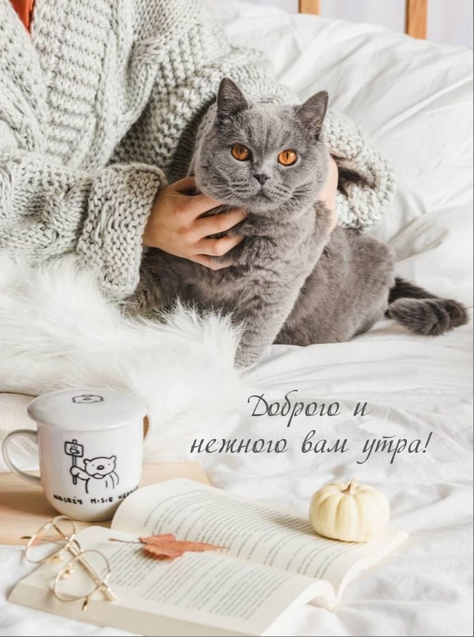 Доброго и нежного вам утра!