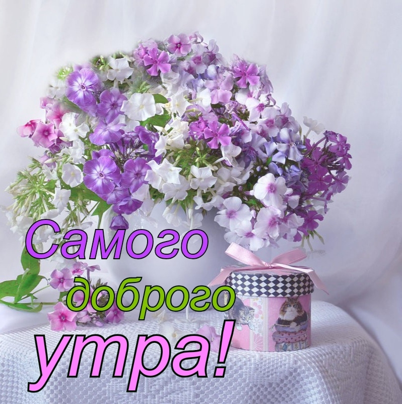Нежная картинка с яркими цветами на доброе утро