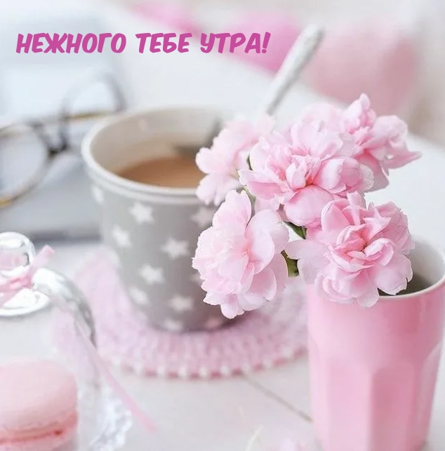 Нежного тебе утра!