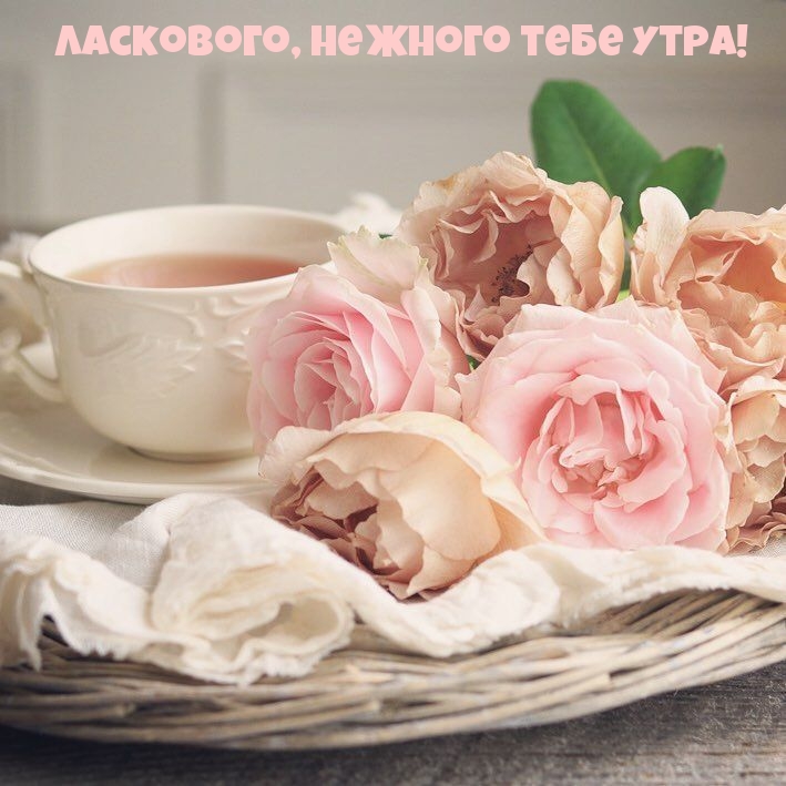 Ласкового, нежного тебе утра!