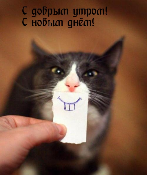 С добрым утром! С новым днём!