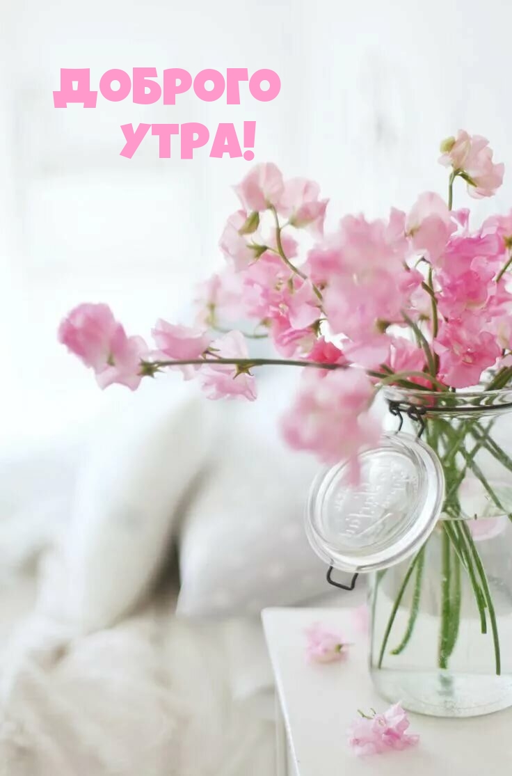 Доброго утра!