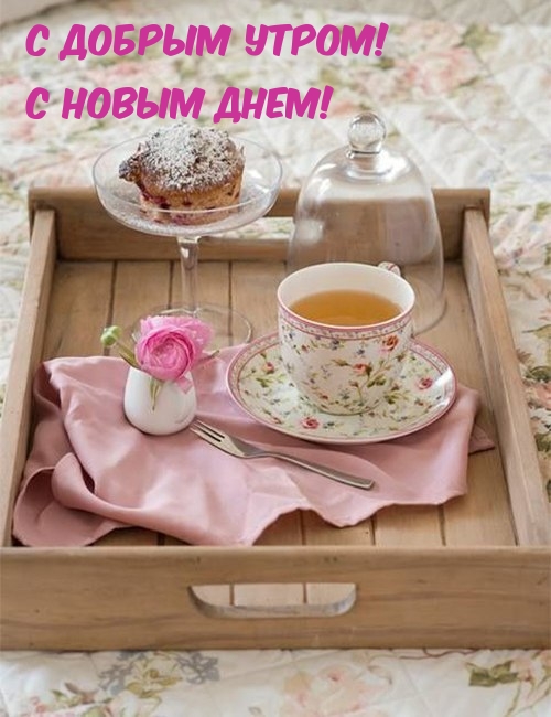 С Добрым утром! С Новым днем!