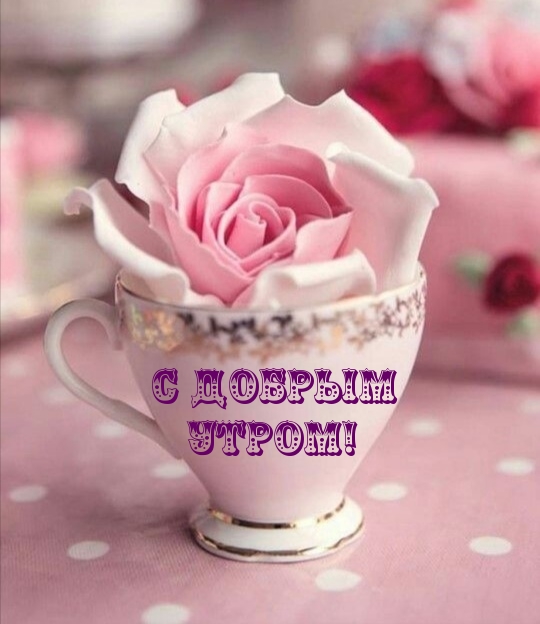 С Добрым утром!