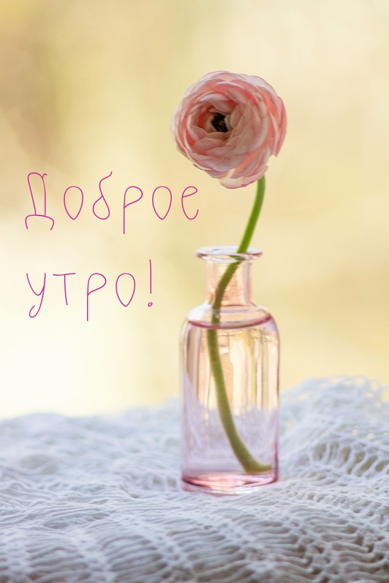 Доброе утро!
