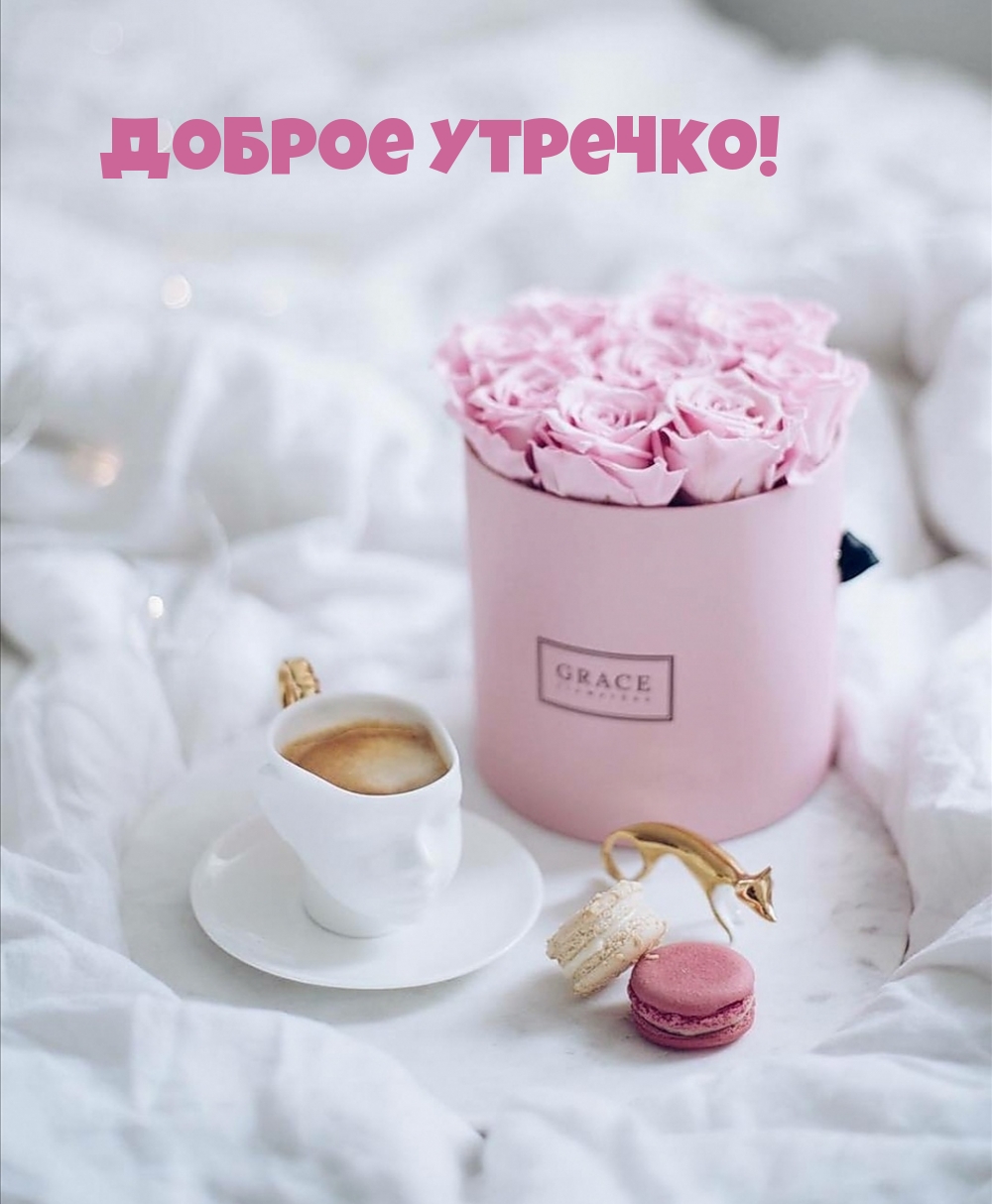 Доброе утречко!