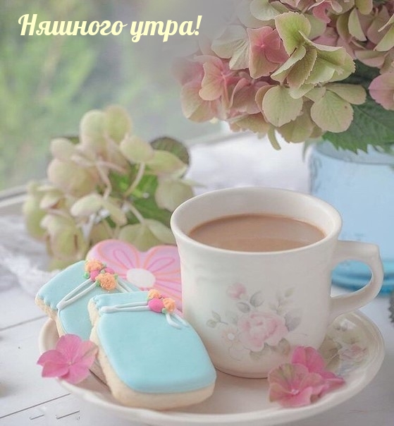 Няшного утра!