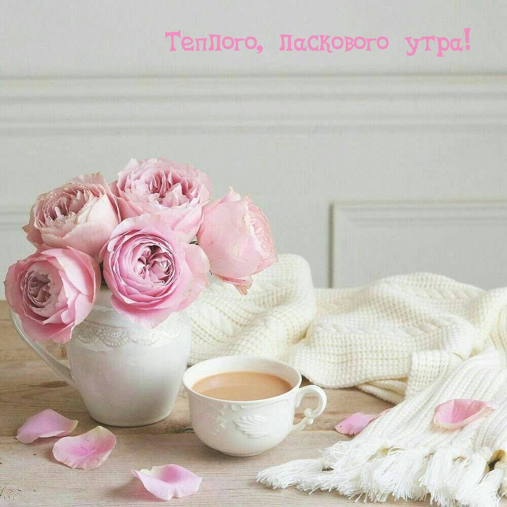 Теплого, ласкового утра!