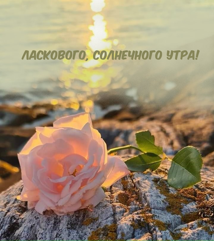 Ласкового, солнечного утра!