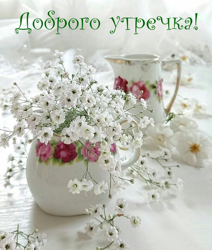 Доброго утречка!