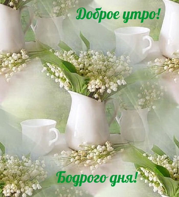 Доброго утра! Бодрого дня!