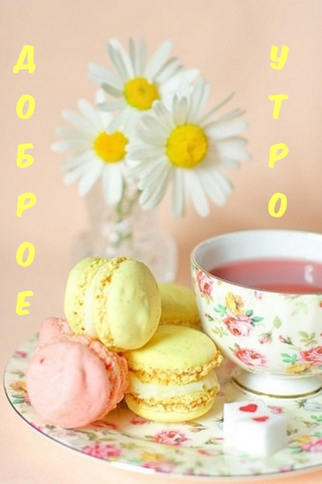 Доброе утро