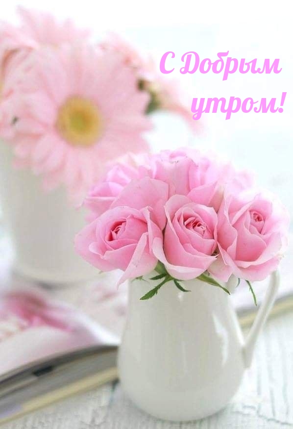 С Добрым утром!