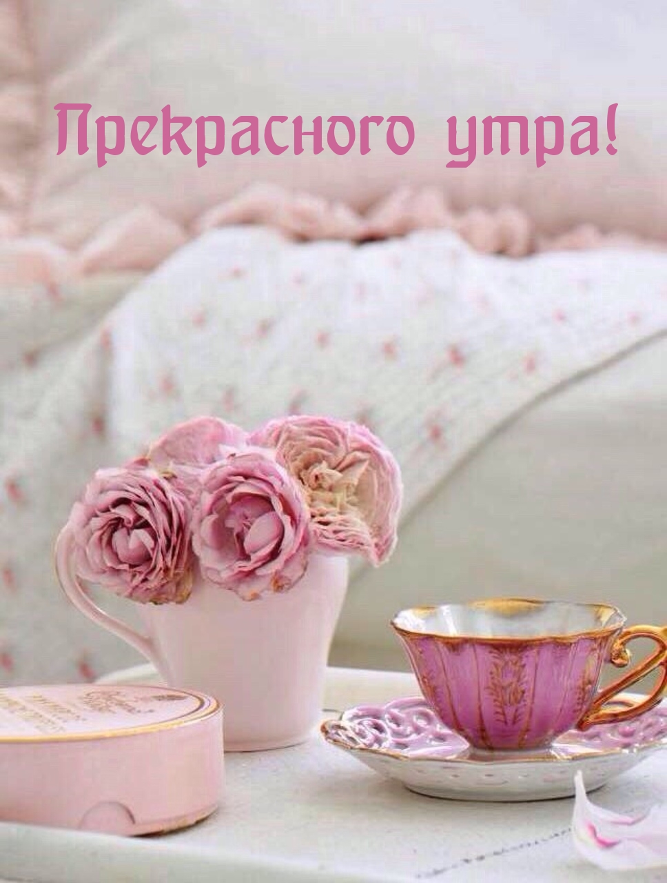 Прекрасного утра!