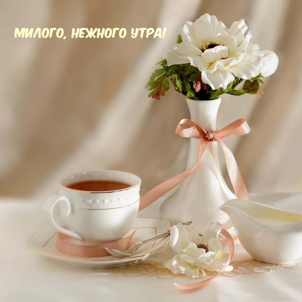 Милого, нежного утра!