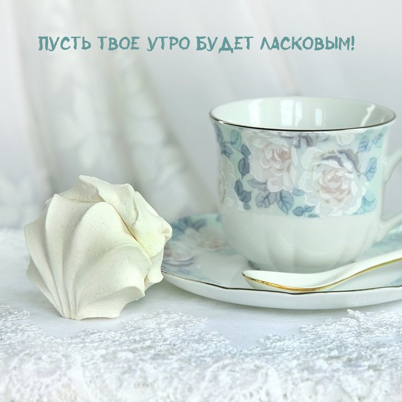 Пусть твое утро будет ласковым!