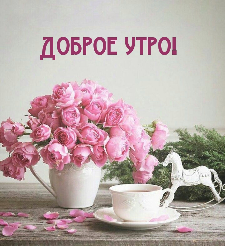 Доброе утро!