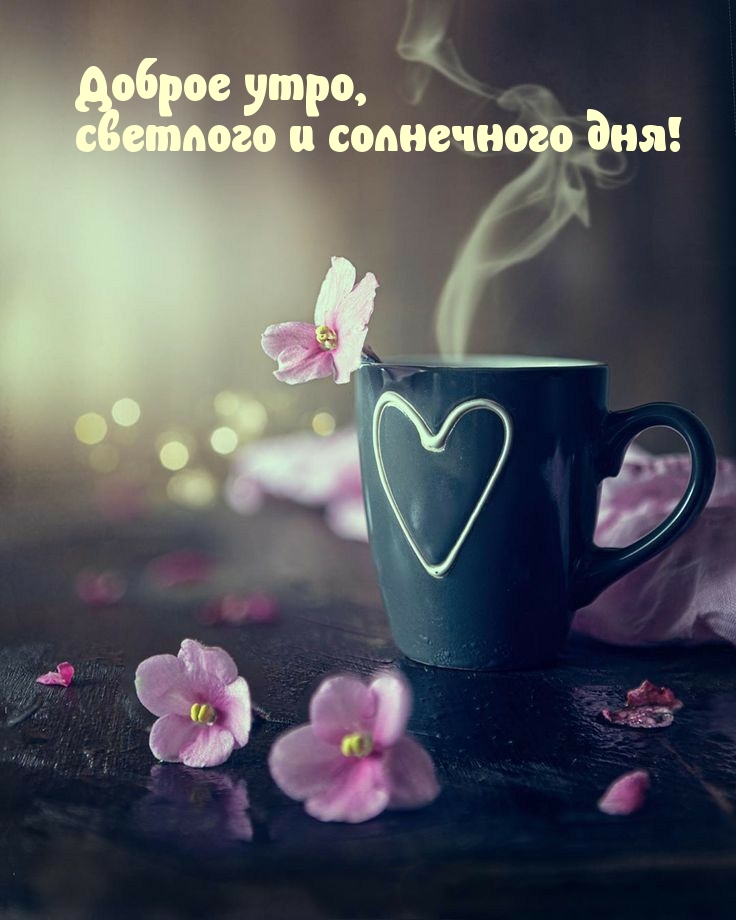 Доброе утро, светлого и солнечного дня!