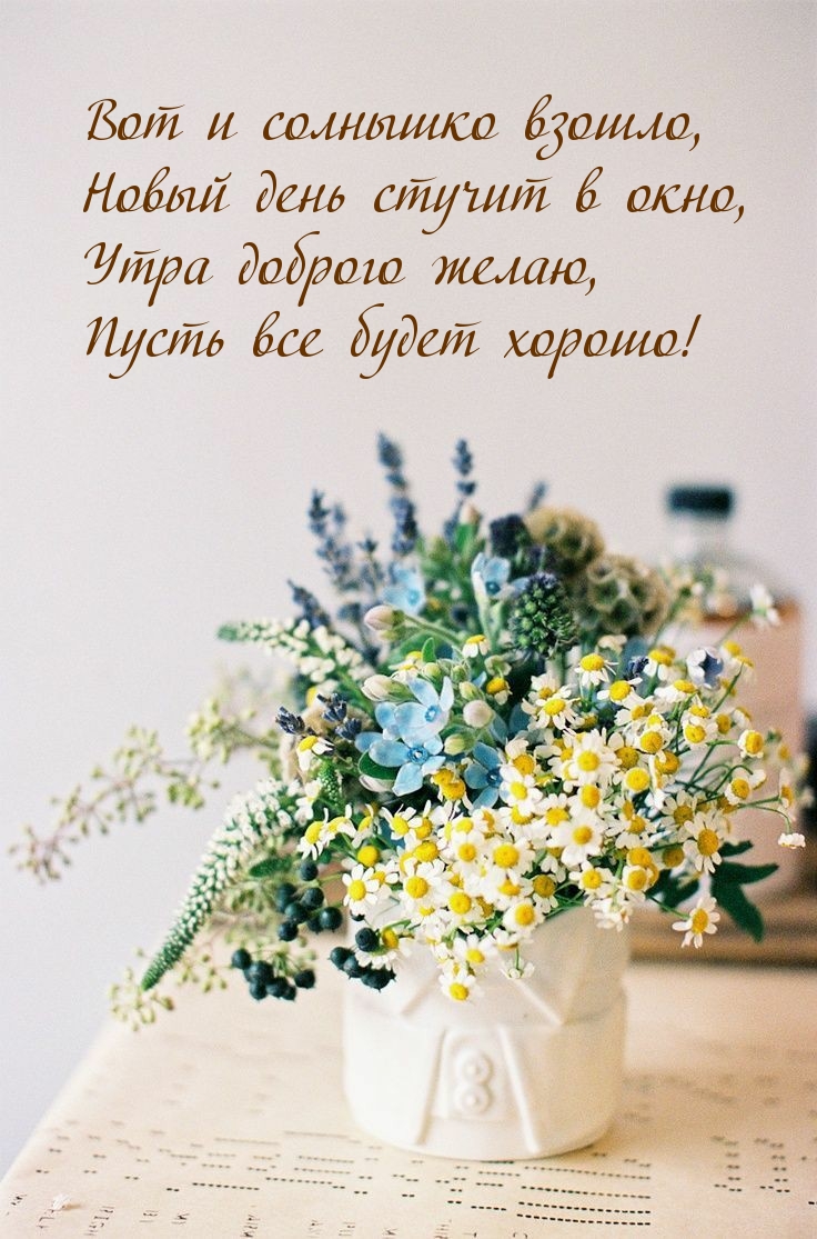 Вот и солнышко взошло, новый день стучит в окно