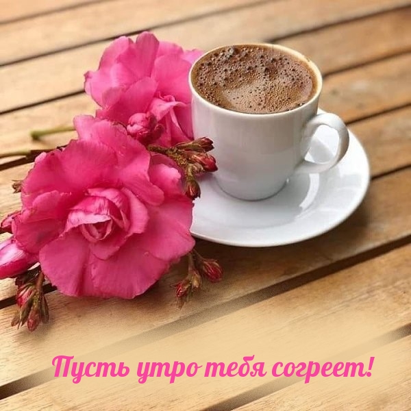 Пусть утро тебя согреет!