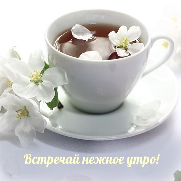 Встречай нежное утро!