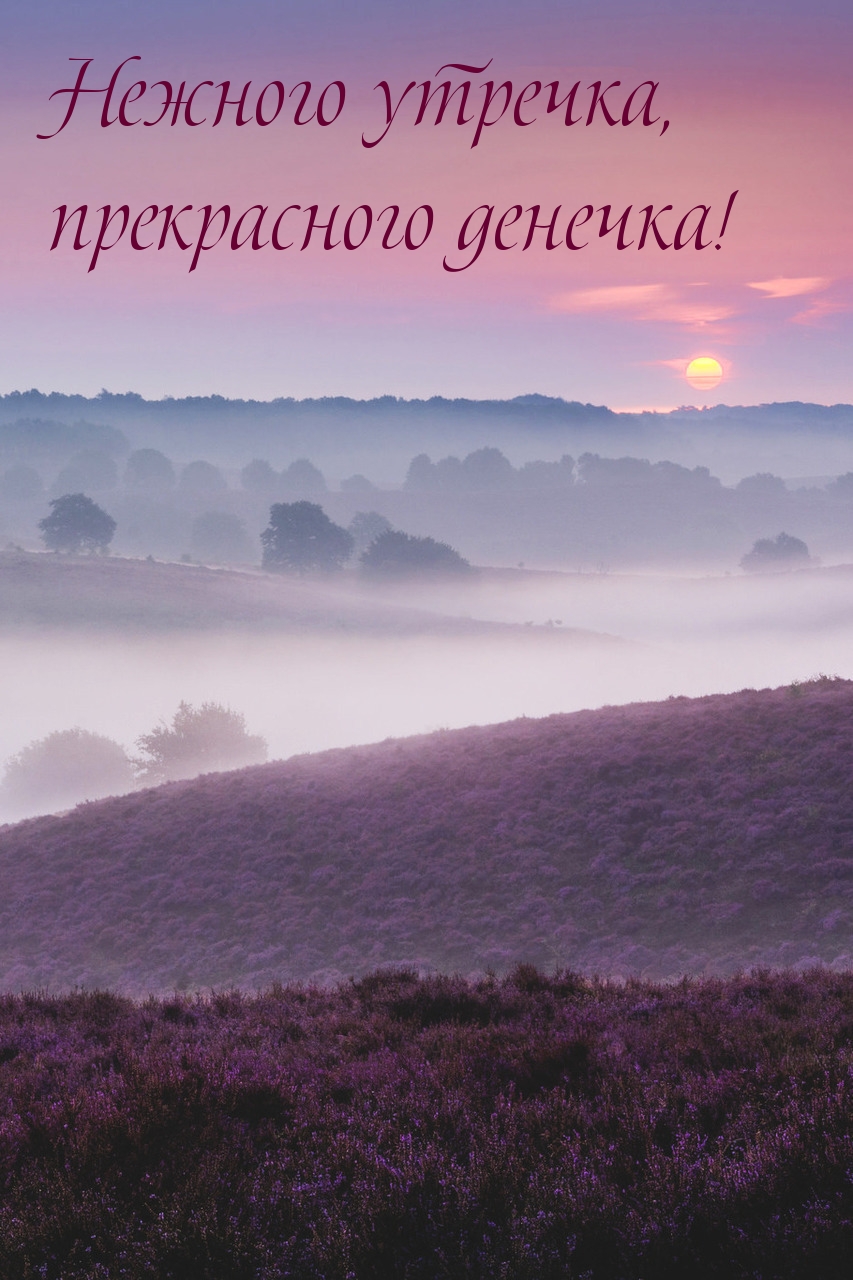 Нежного утречка, прекрасного денечка!