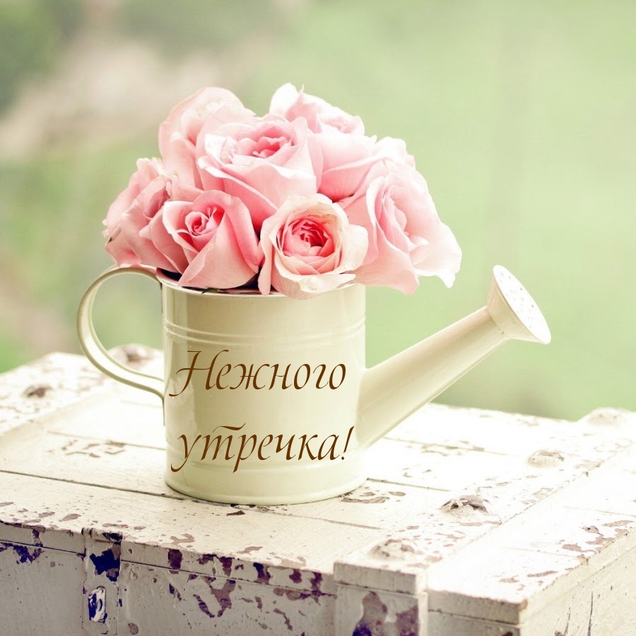 Нежного утречка!