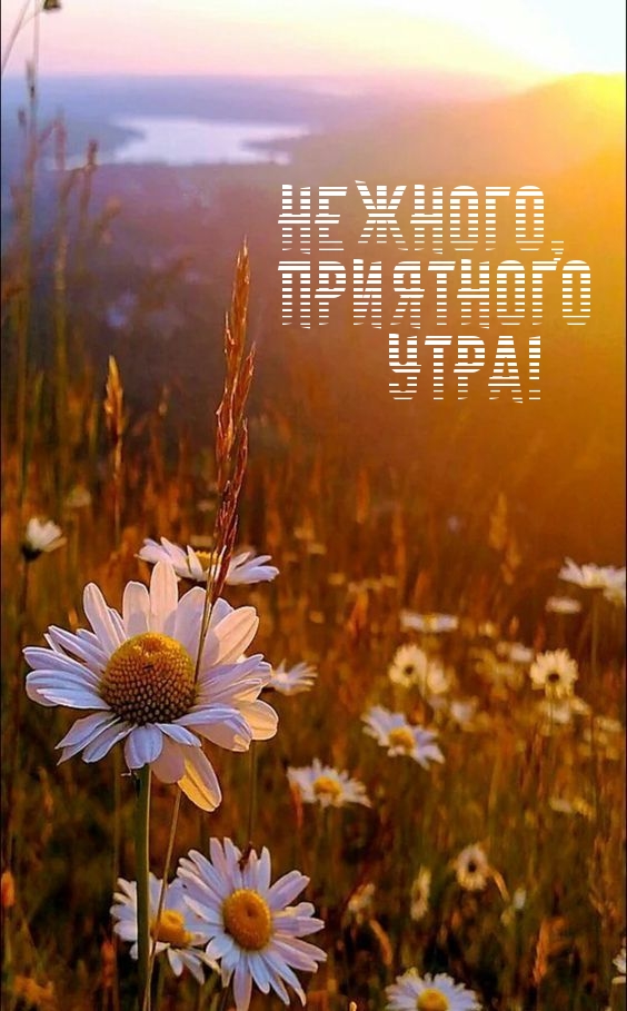 Нежного, приятного утра!