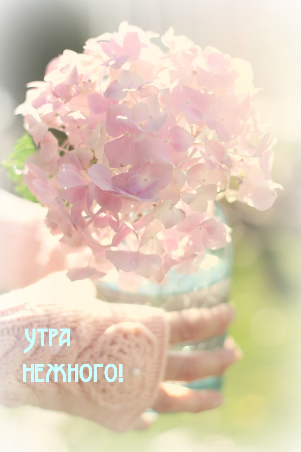 Утра нежного!