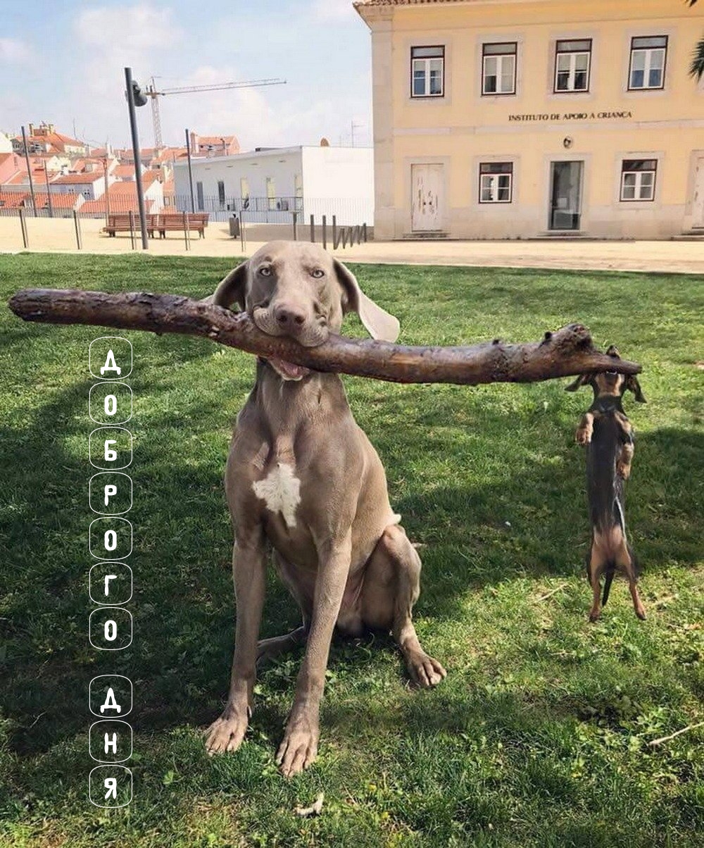 Доброго дня