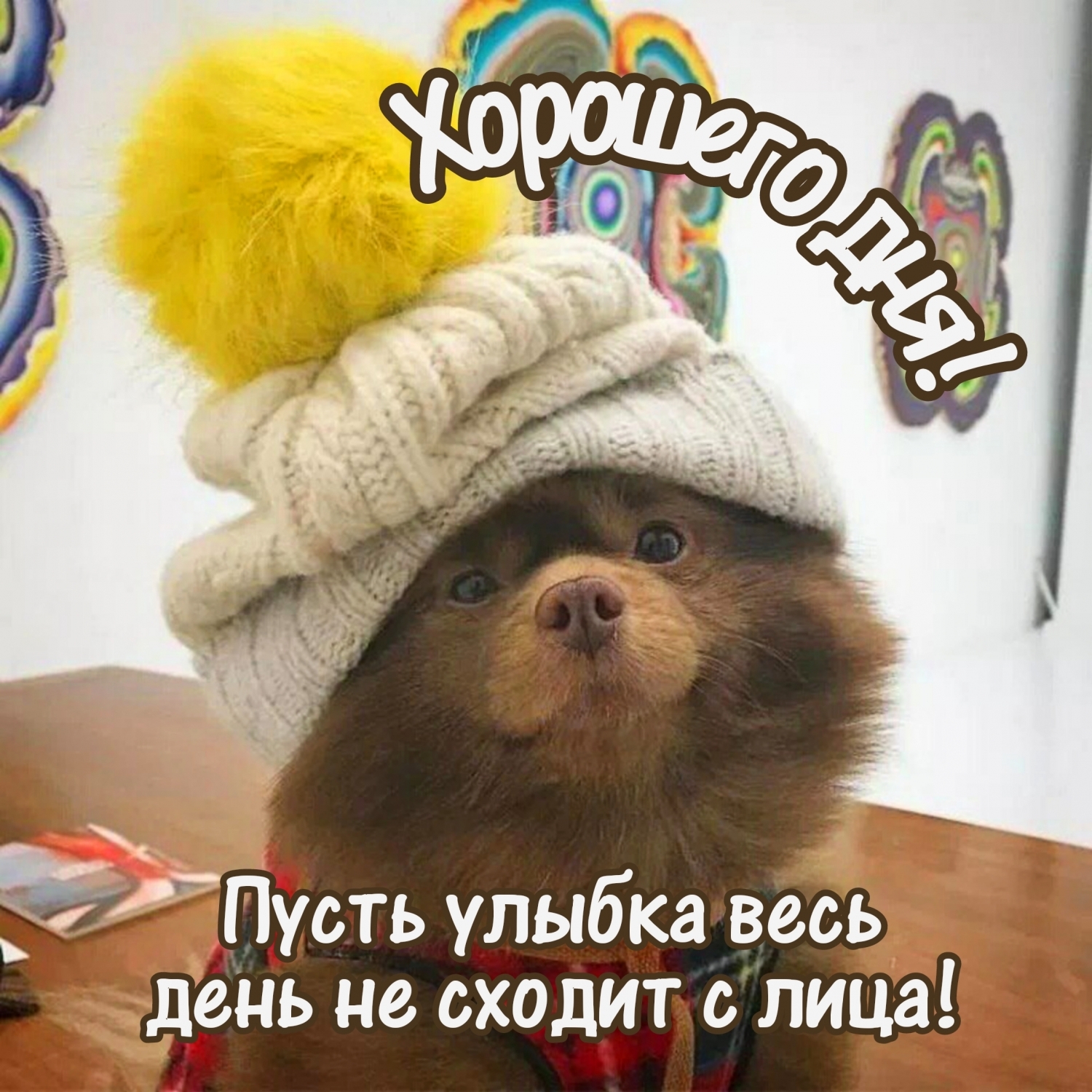 Хорошего дня! Пусть улыбка весь день не сходит с лица!