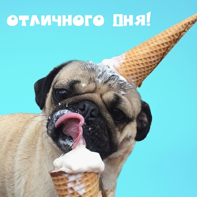 Отличного дня!