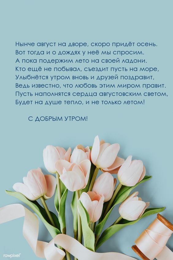 Нынче август на дворе, скоро придёт осень.