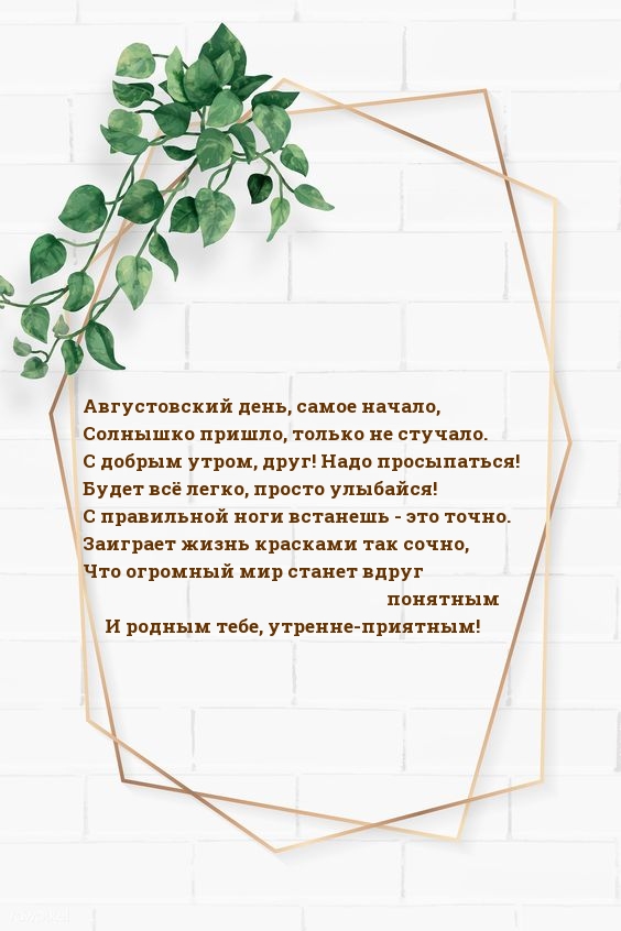 Августовский день, самое начало