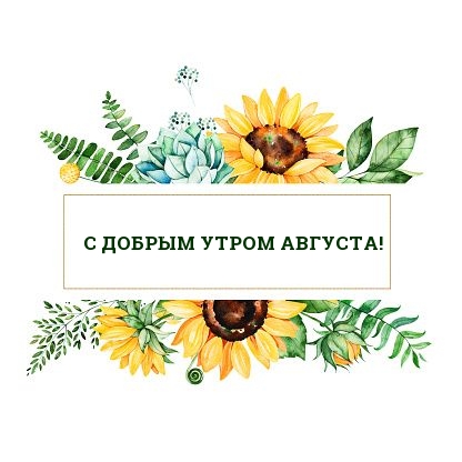 С добрым утром августа!