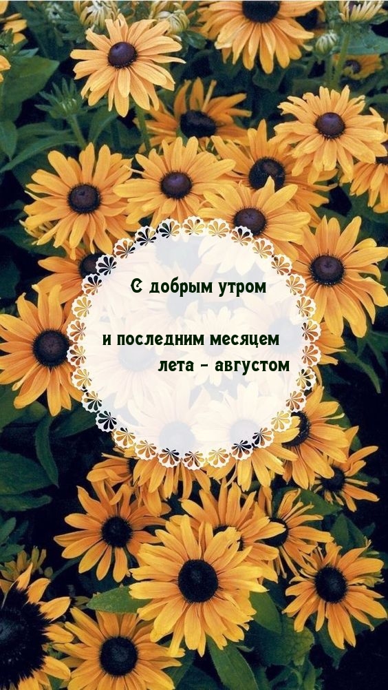 С добрым утром и последним месяцем лета — августом