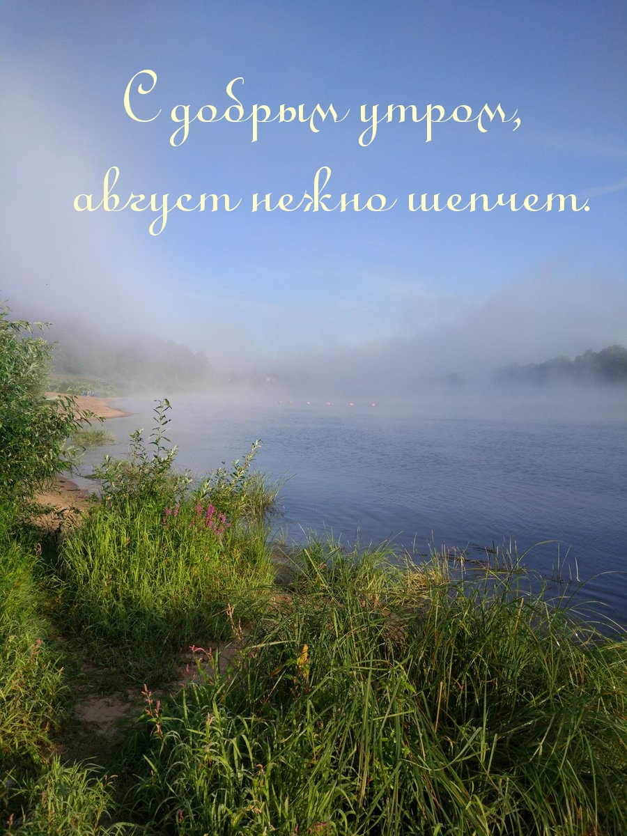 С добрым утром, август нежно шепчет.