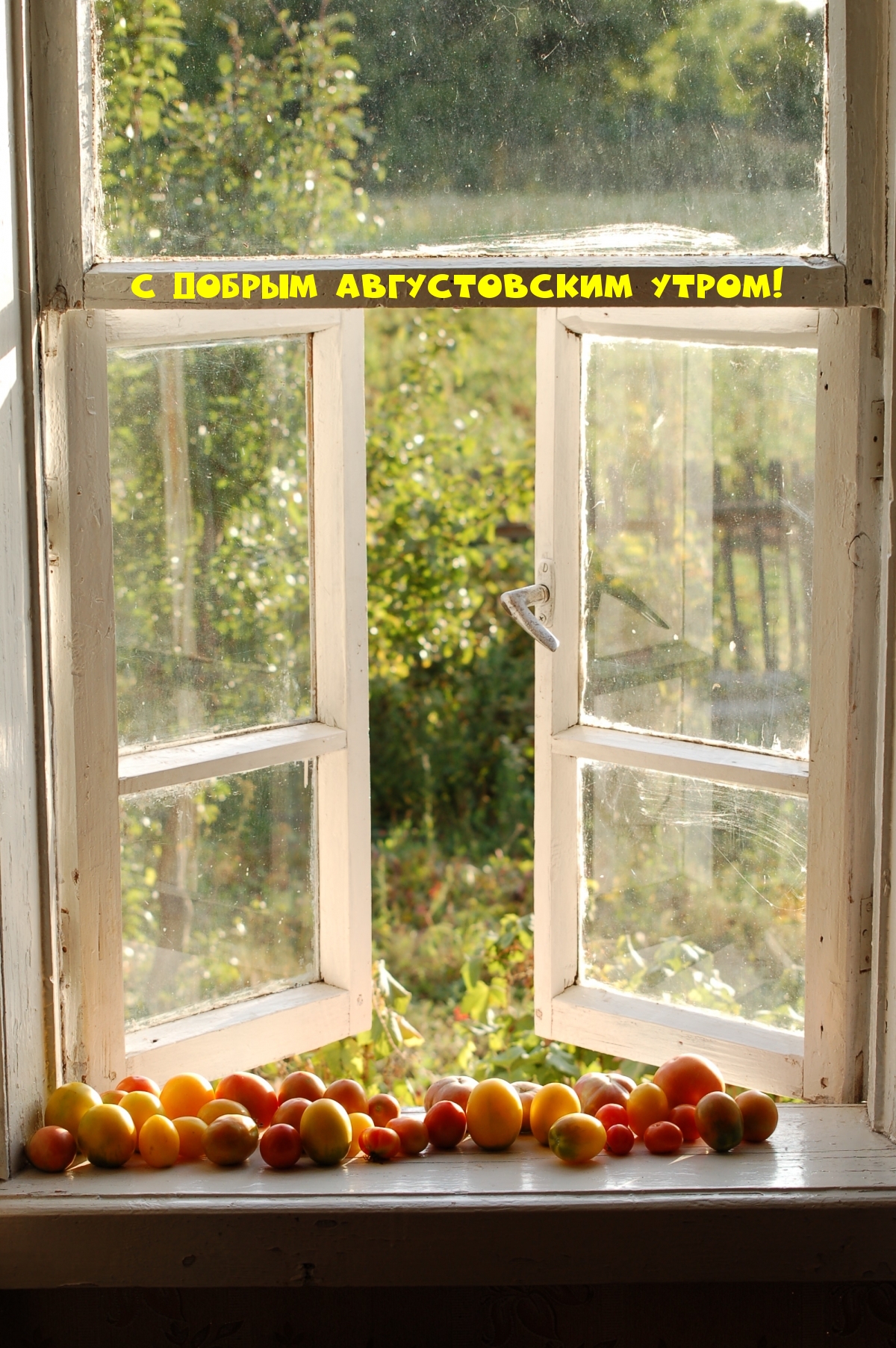 Картинка - С добрым августовским утром!.