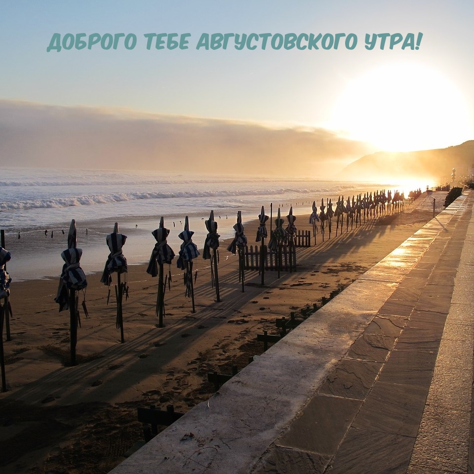 Доброго тебе августовского утра!