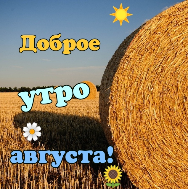 Доброе утро августа!